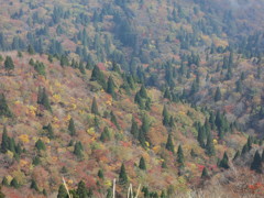 1週間遅かった…