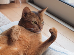 よしっ！
