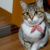 冬に向けて太ってきました？