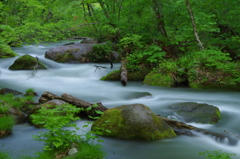 奥入瀬渓流