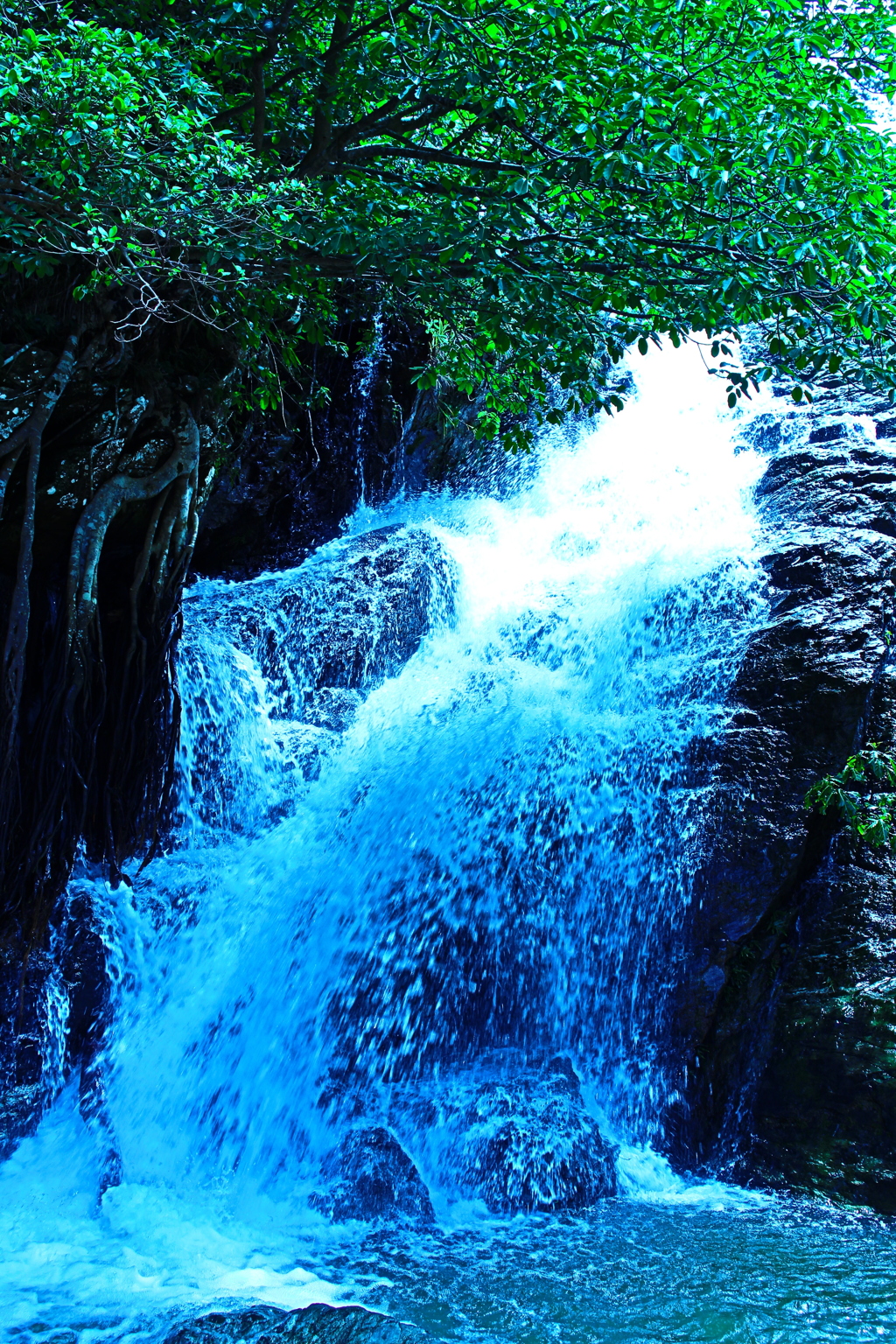 Agasa Falls(油絵）