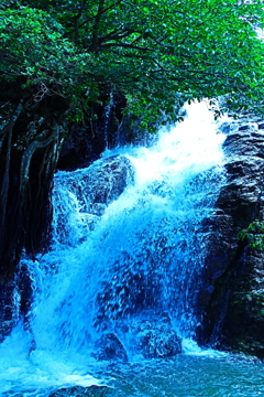 Agasa Falls(油絵）