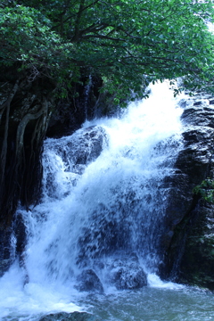 Agasa Falls