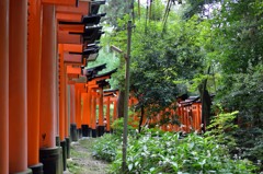 トンネルの外から