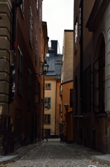 DSC_6917