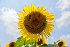Summer Smile!