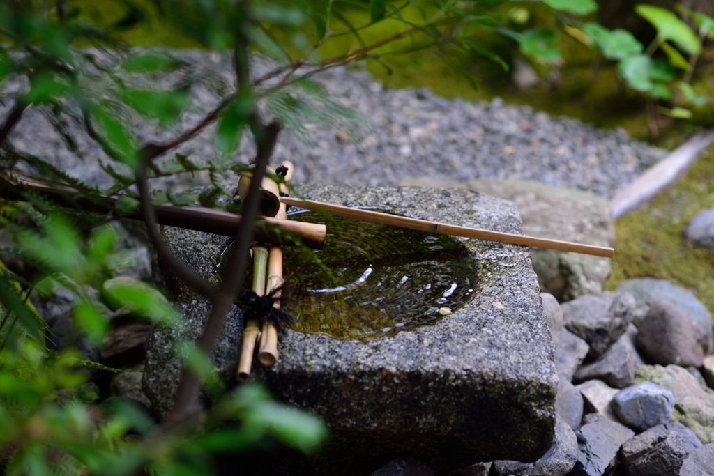 静かな庭園