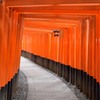 赤いトンネル