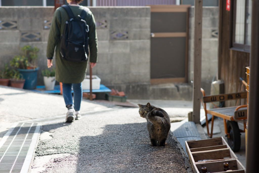 「ついていっていいの…？」