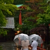 雨の八坂神社　2