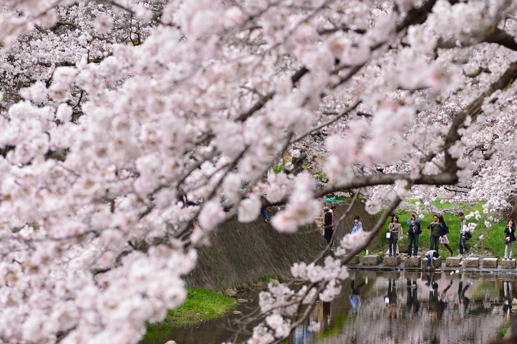 夙川公園