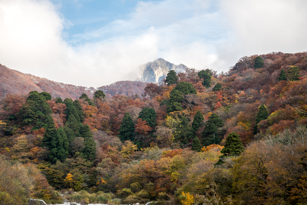 大山（の一部）