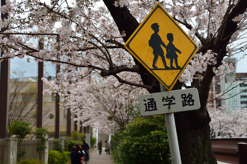 新学期