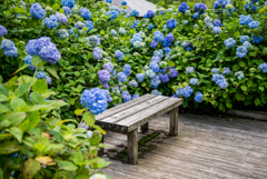 花々に囲まれて