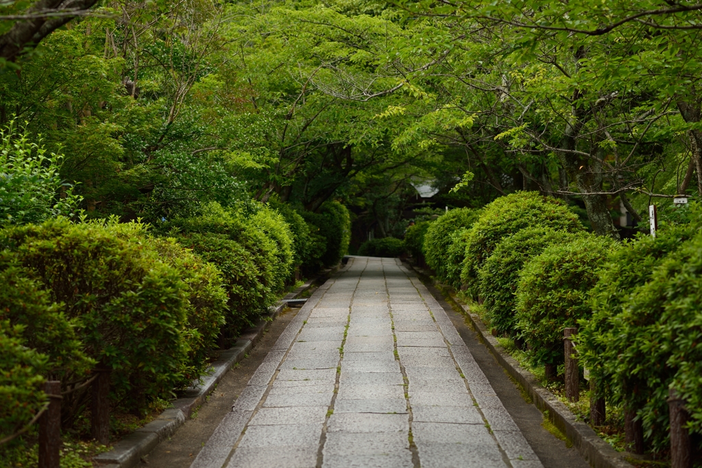 坂の途中にある道