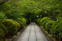 坂の途中にある道