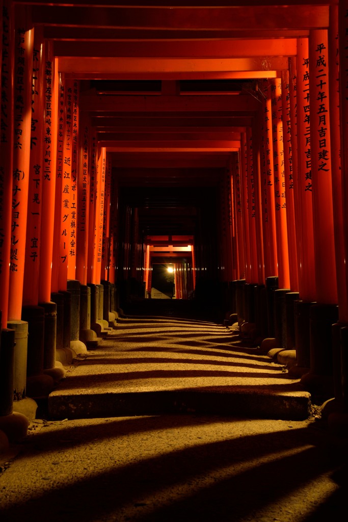 夜の千本鳥居　１