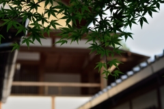 ねねの道より