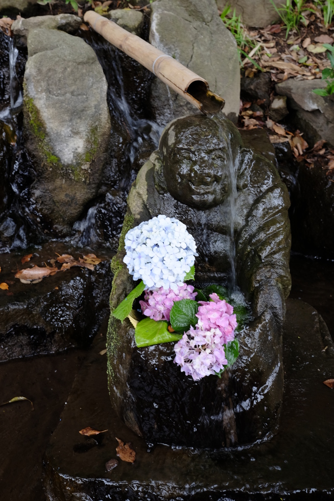 水浴び