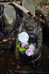 水浴び