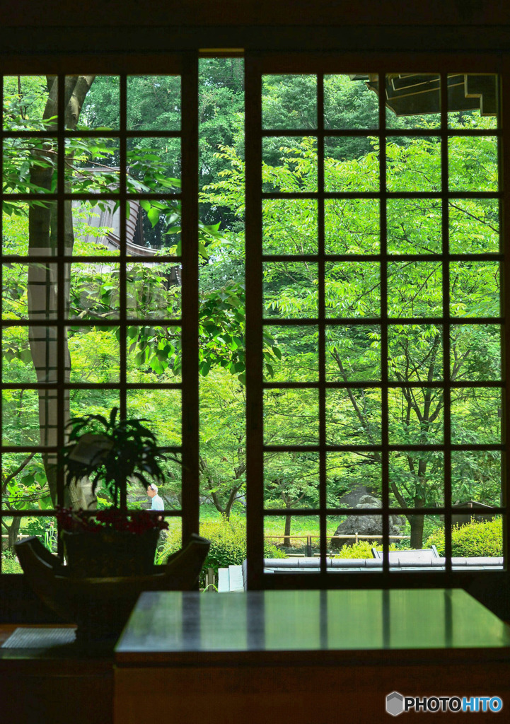 Green window