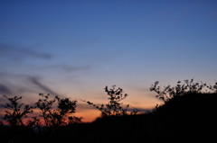 マジックアワー