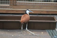 カラダのパーツ、バランスおかしくないですか？（笑）