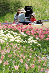 花の季節