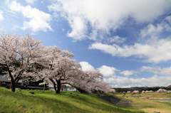 月山　富田川　河川敷