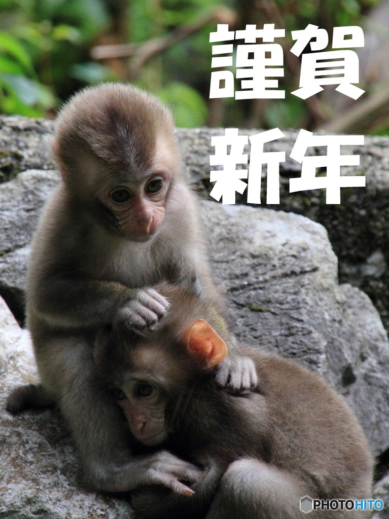 明けましておめでとうございます