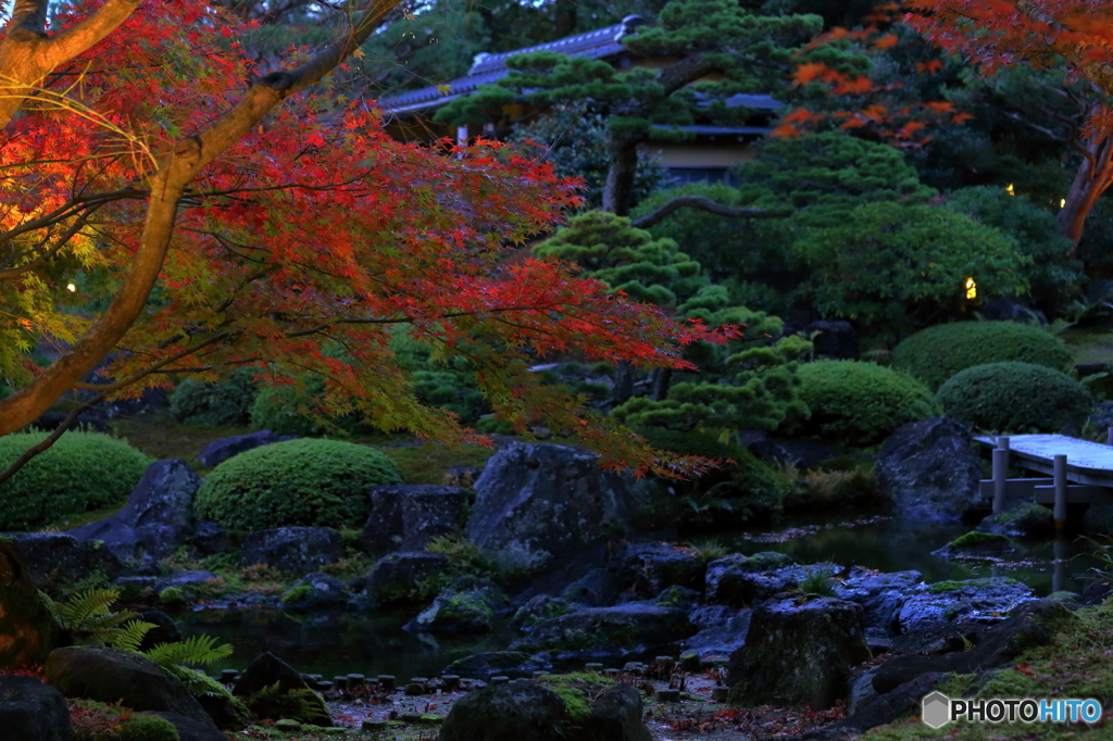 日本庭園　由志園の夜
