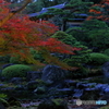 日本庭園　由志園の夜