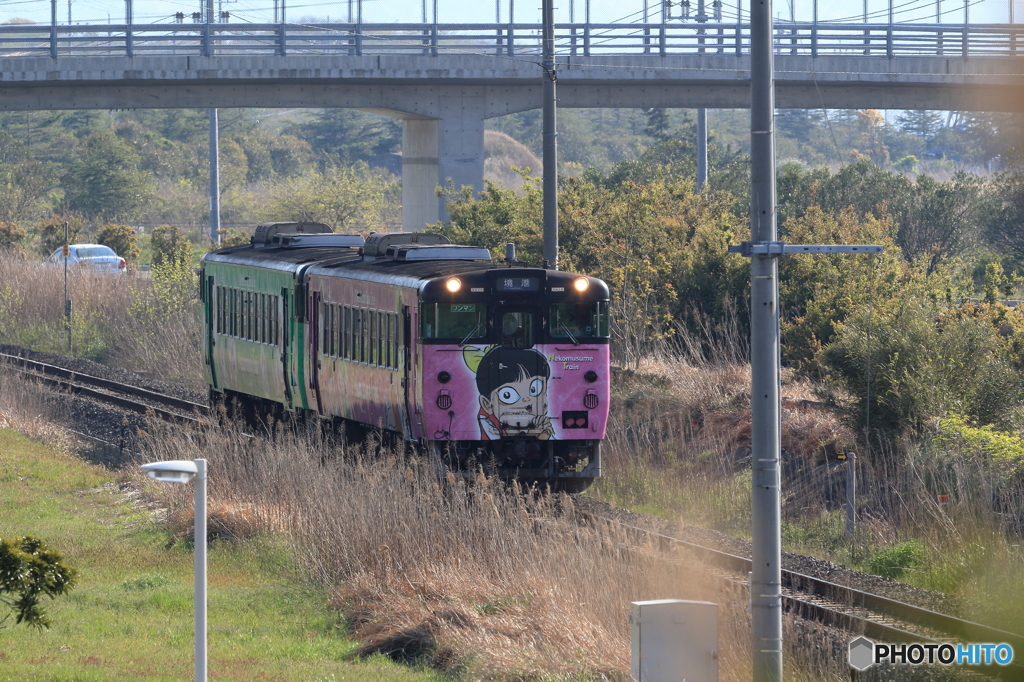 ネコ娘列車