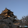 夕焼け千鳥城