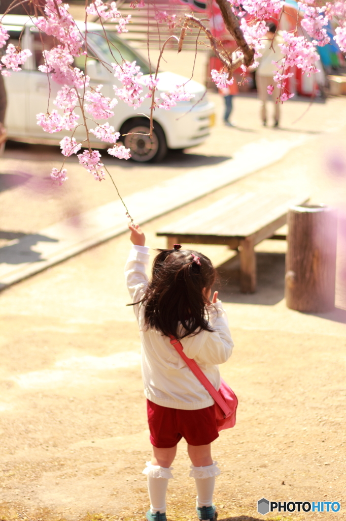 春、つかまえた