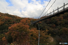 恋吊り橋と紅葉