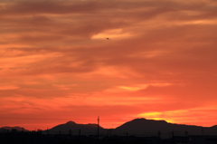 夕焼け帰還