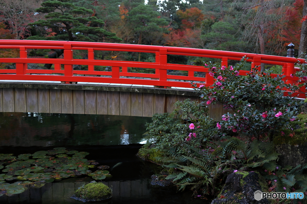 山茶花の橋