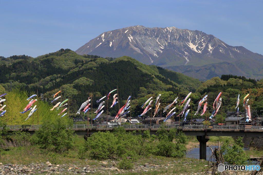 大山とこいのぼり