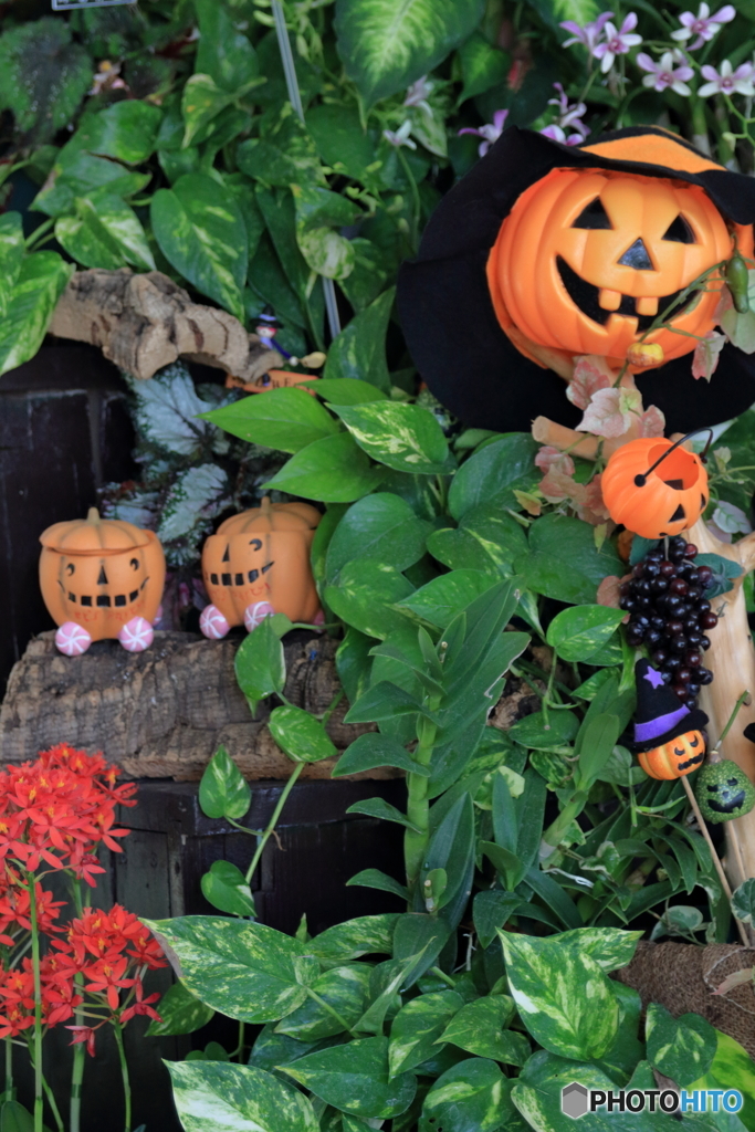 happy　halloween