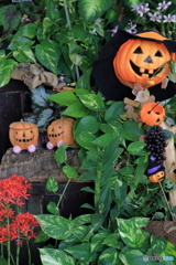 happy　halloween