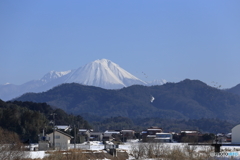 雪の大山