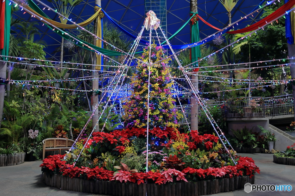 Ｍｅｒｒｙ　ｃｈｒｉｓｔｍａｓ！！