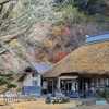 時すでに遅し