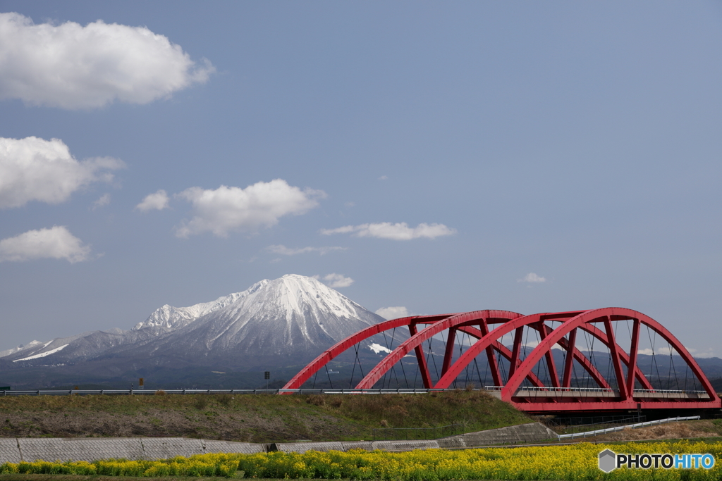 菜の花畑と伯耆大山