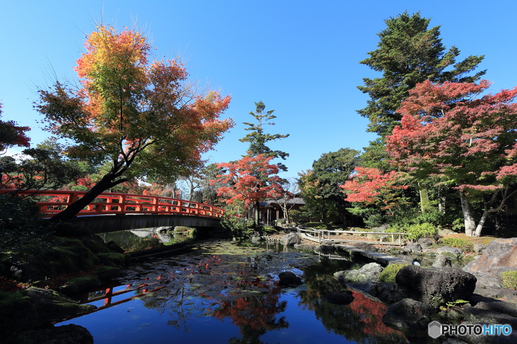 由志園の紅葉