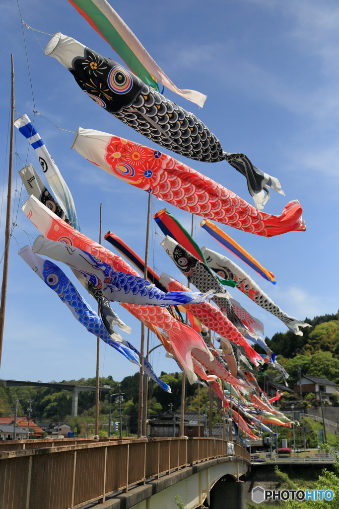 屋根より高い・・・