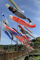屋根より高い・・・