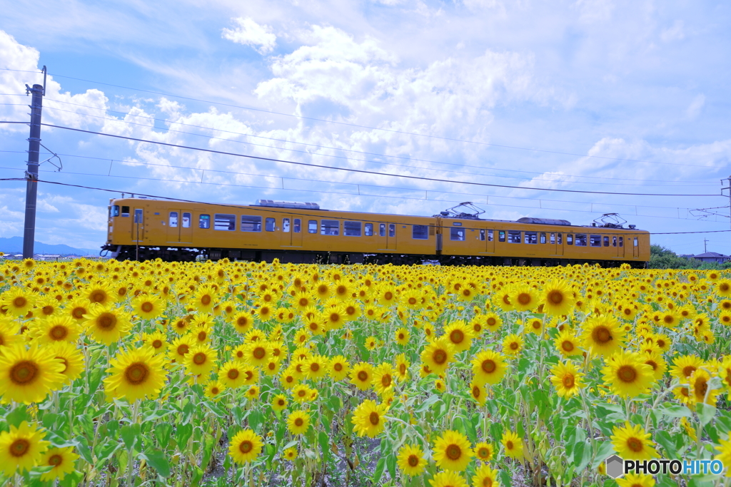 Yellow　＆　Yellow