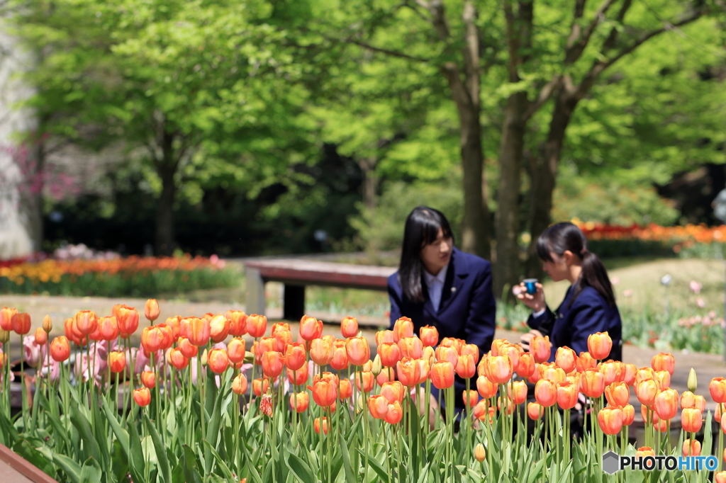 花　輝く頃